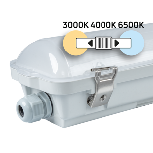 LED industrial lamp CCT PC housing, 1.2m, 36W max, 220V-240V AC, IP66